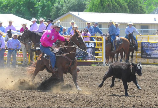 The Pink Shirt Challenge